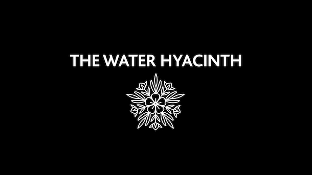 Power of Compounding Story - The Water Hyacinth