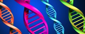 DNA Code for building a market leading business